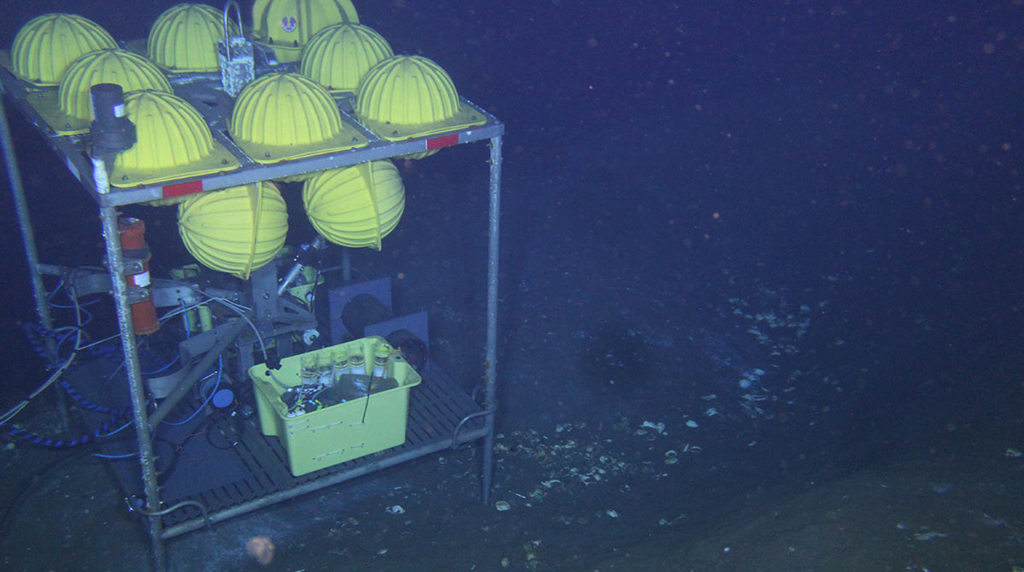 Researchers study microbial processes directly at the seafloor